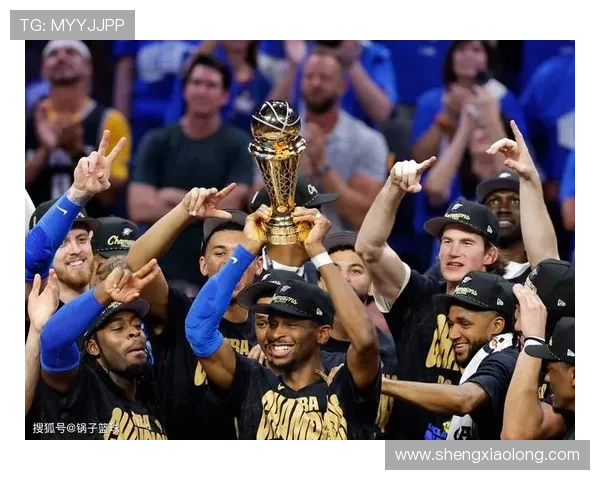 11月17日NBA最佳球员评选结果揭晓精彩表现引发热议