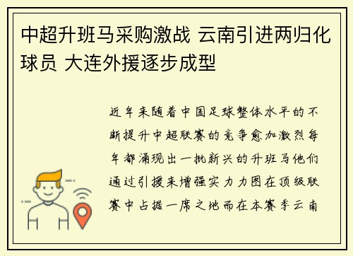 中超升班马采购激战 云南引进两归化球员 大连外援逐步成型